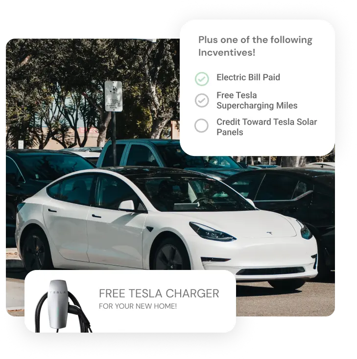 Tesla Car with free charger